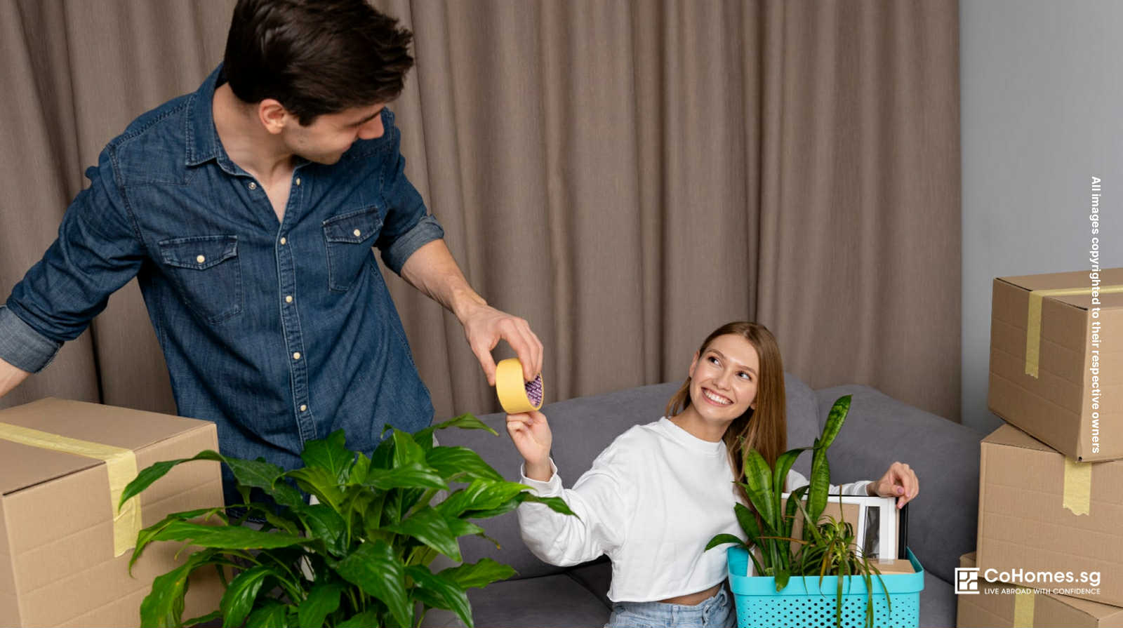 Calm Corners: How to Create a Stress-Free Space in Your Apartment